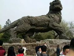 虎山-北京动物园