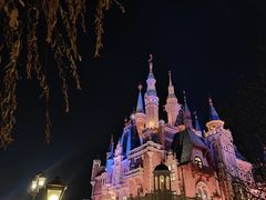 -上海迪士尼度假区