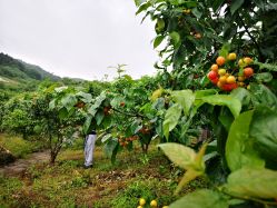 -P.STYLE派斯造型