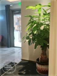 -苑苑vbeauty科技美容SPA