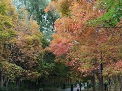 -长春市南湖公园