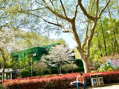 -徐家汇源景区-衡山公园