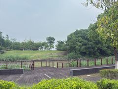 -江滩湿地公园