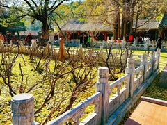 -潭柘寺景区