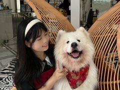-星多哈·狗咖·拼豆·咖啡