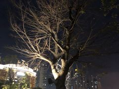 -晋江五店市传统文化旅游区