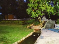 -梧桐庄园