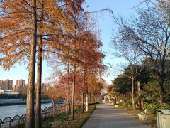 -枫桥景区