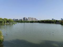 -昆山城市生态森林公园