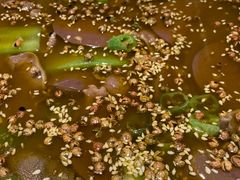 -杏花堂晋商私房菜(华熙五棵松店)