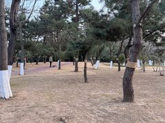 -燕儿岛山公园