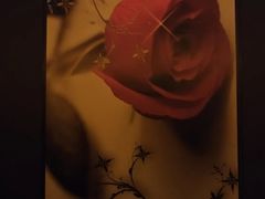 -悦养阁沐足•SPA