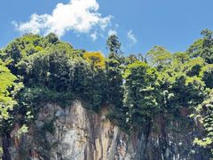 -武吉知马自然保护区