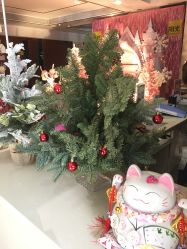 -深圳阳光医疗美容医院·旗舰店