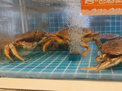 -七欣天香辣蟹火锅(南京桥北太平店)