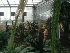 -南通洲际绿博园