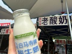 -洛阳白马寺