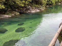 -石台牯牛降景区
