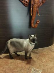 -JC·YOGA静禅瑜伽普拉提