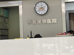 -申普宠物医院·心脏介入·心血管微创(总院)
