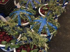 -西郊国际农产品交易中心