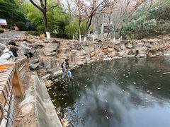 -石老人观光园