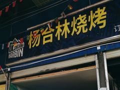 -杨合林啊兰烤鱼