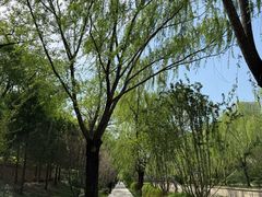 -元大都城垣遗址公园