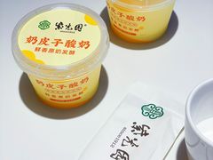 自制酸奶-紫光园(劲松店)