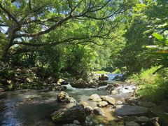 -广州市石门国家森林公园