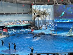 -海合安成都极地海洋公园