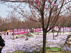 -南通洲际绿博园