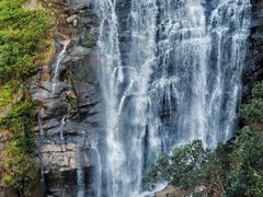 -海南热带雨林国家公园吊罗山景区