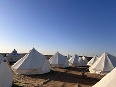 -国强手抓(西夏区店)