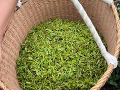 -龙坞茶村
