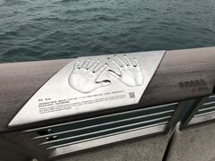 -星光大道