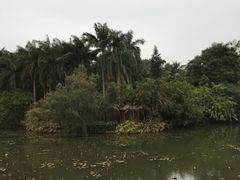 -滴水岩森林公园