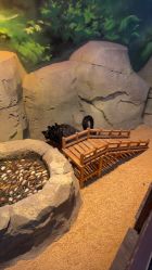 -酷嗒动物文化乐园(cutezoo西溪乐天城店)