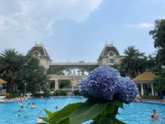 -菲鱼体育恒温游泳馆(中海名城店)