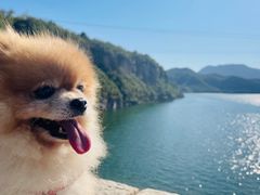 -白河堡水库