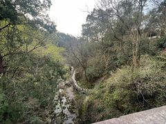 -南岳衡山风景名胜区