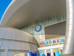 -烟台海昌鲸鲨海洋公园