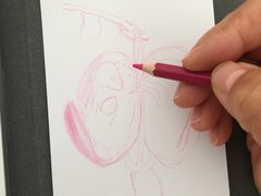 -BRAVO 赞·美艺术中心·系统美术·书法·艺考(双井校区)