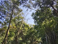 -火炉山森林公园