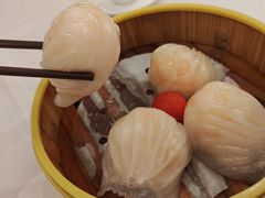 -潮江春(阳光店)