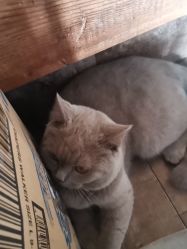 -青木造型HAIR·あおき髪を刈る潮人店