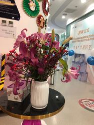 -联合丽格·张菡丽格医疗美容