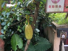 -海南槟榔谷黎苗文化旅游区