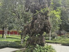 -宝光寺