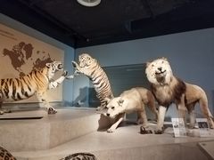 -上海自然博物馆